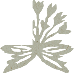 Illustration of a flower in earthy tones.