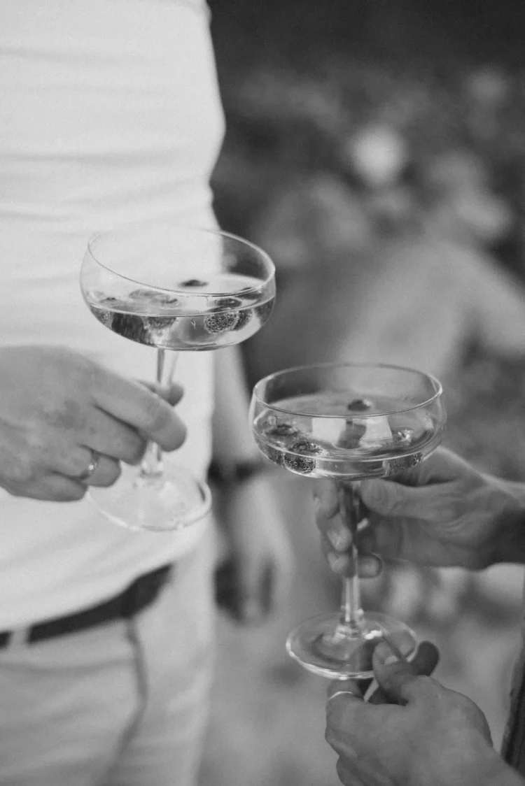 Pair of friends toasting with elegant cocktails at a wedding celebration.